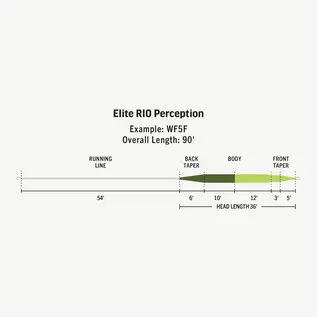 Elie RIO Perception