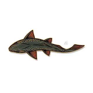Casey Underwood Artwork and Design Swimming Brown Decal
