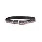 Salty Dog Collar- Steelhead