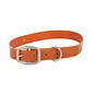 Salty Dog Collar-Cutthroat Orange
