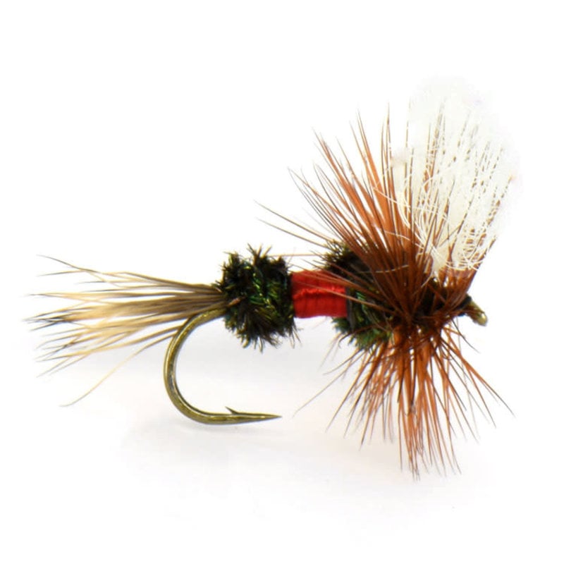 FLIES, FLY SELECTIONS & FLY BOXES - The Fly Fishing Outpost