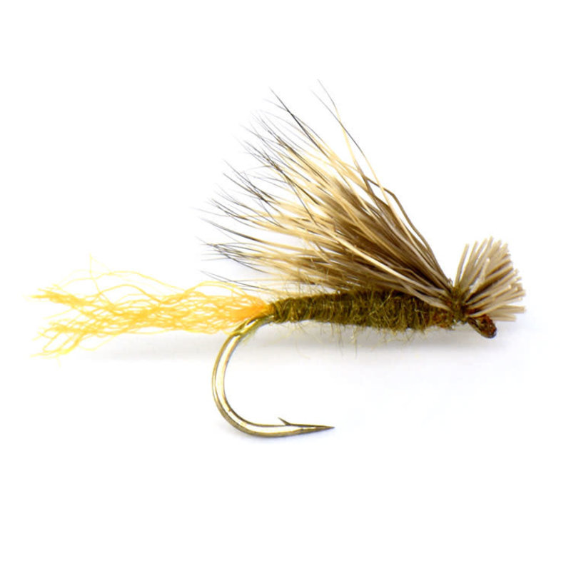 FLY FISHING OUTPOST Trailing Shuck Caddis