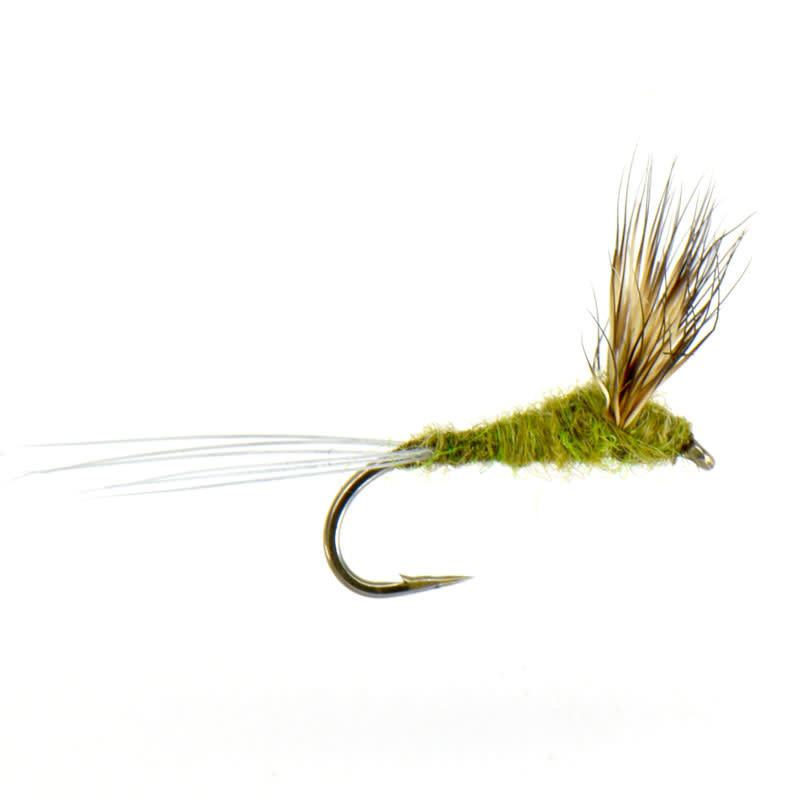 FLY FISHING OUTPOST Baetis Comparadun