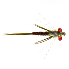 FLY FISHING OUTPOST Red Eyed Damsel Fly Nymph