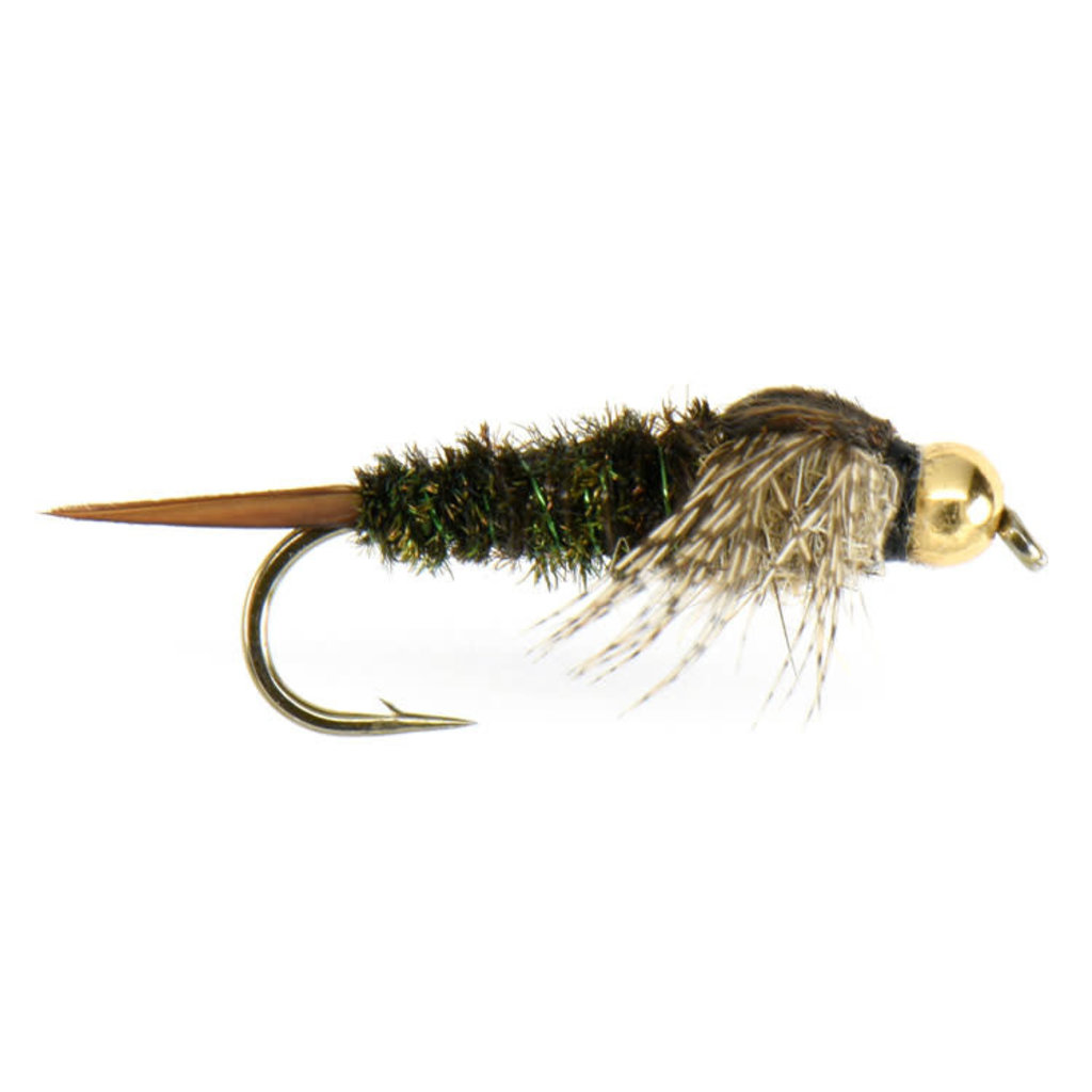 The Golden Stonefly Nymph for trout fishing