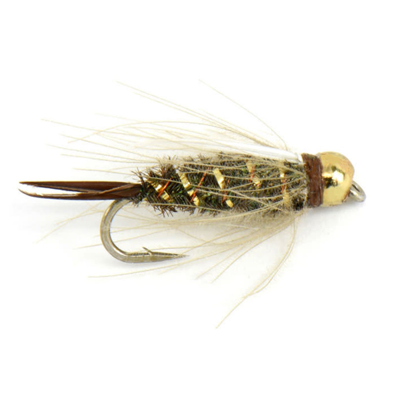 FLY FISHING OUTPOST CDC Prince Nymph