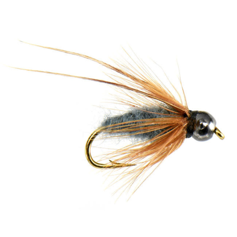 FLY FISHING OUTPOST Tungsten Caddis Pupa (2 Colors)