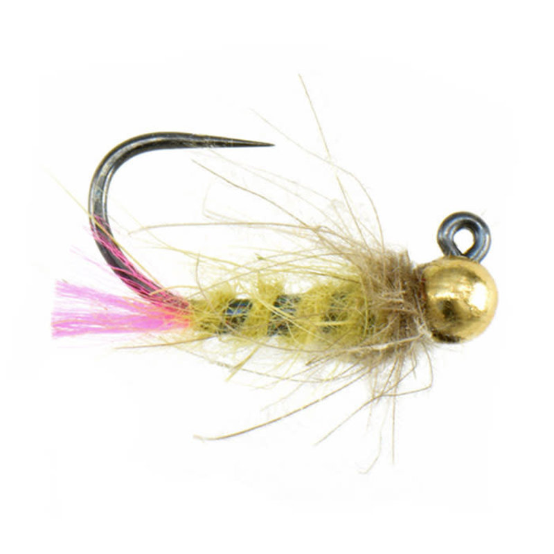 FLY FISHING OUTPOST Olive Hot Tag Caddis