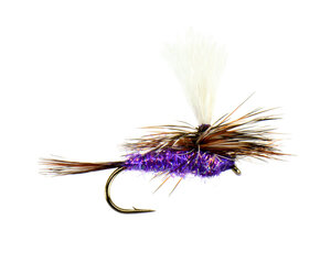 am fishing lures purple haze OG - 3 You dont always NEED scent to catch fish NLBN 5" Purple Haze Versatile