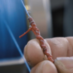 Pacific Rim PRIM Splice