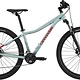 Cannondale Cannondale Trail 7