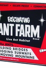 Schylling Uncle Milton Ant Farm