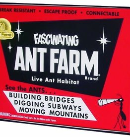 Schylling Uncle Milton Ant Farm