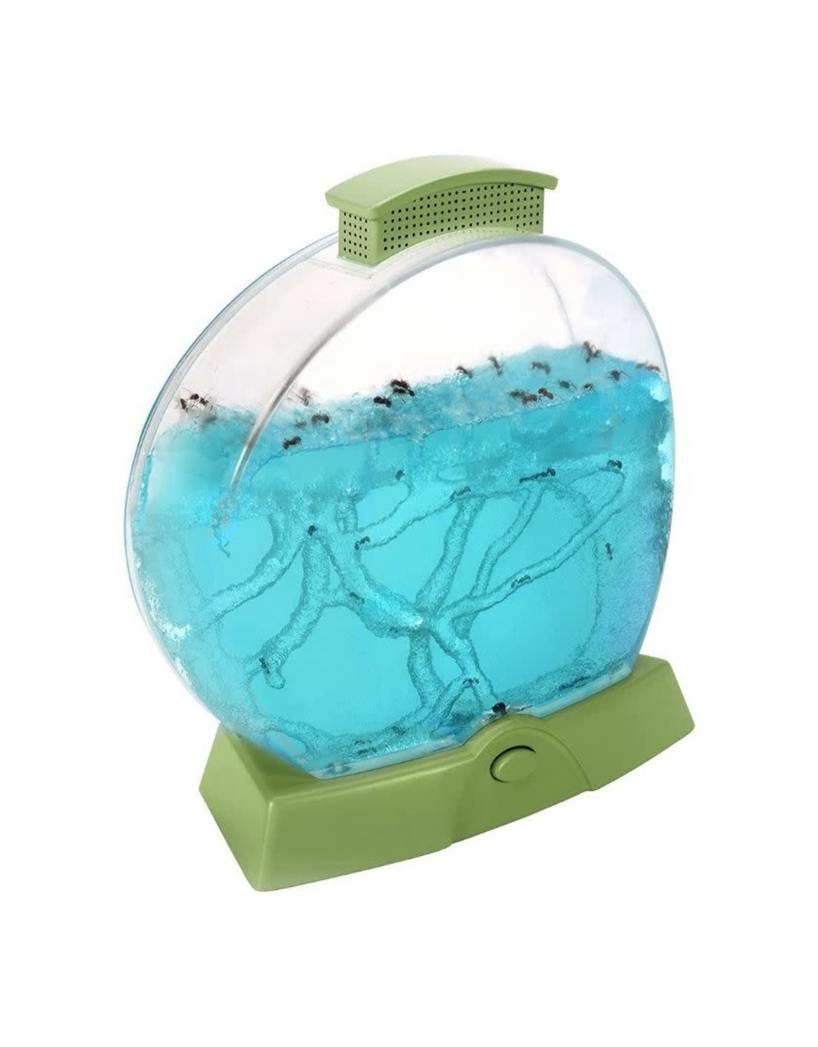 Educational Insights Geosafari Day 'N' Night Ant Farm
