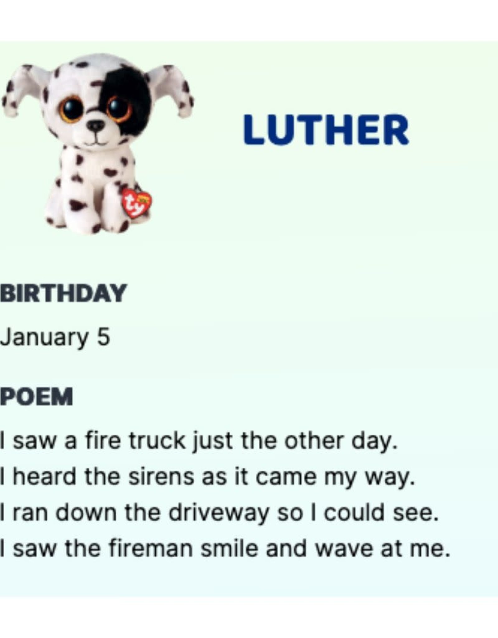 Ty Inc. LUTHER