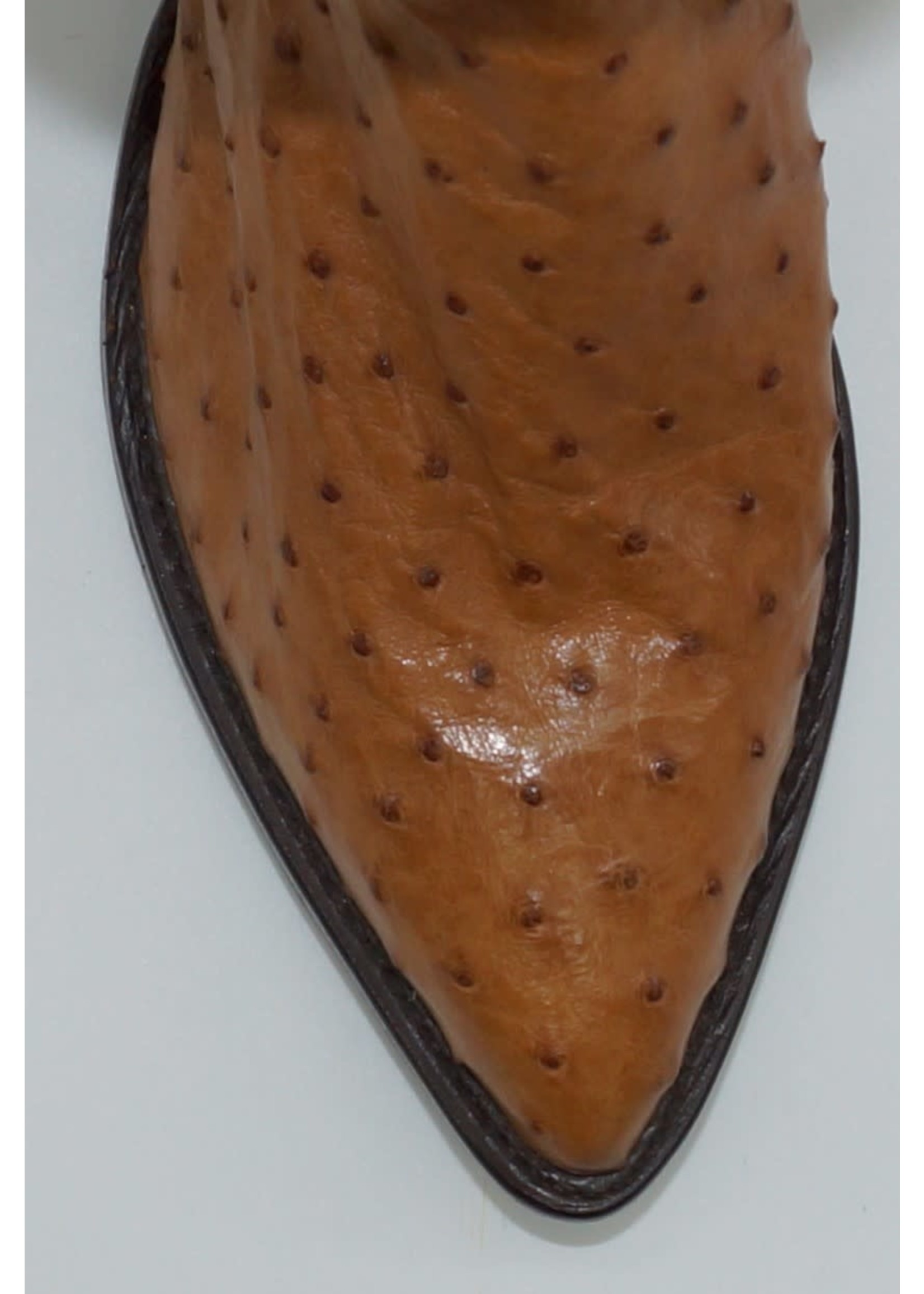 Peanut Brittle Ostrich 8867 - Circle B 