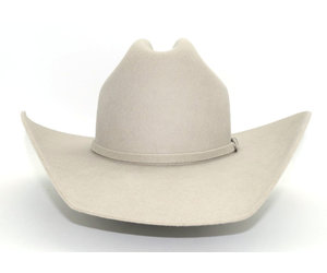 Twister Dallas Western Hat Silver Belly - Circle B Western Wear