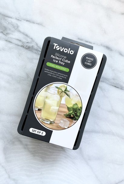 Tovolo Perfect Cube Ice Trays Charcoal Set of 2