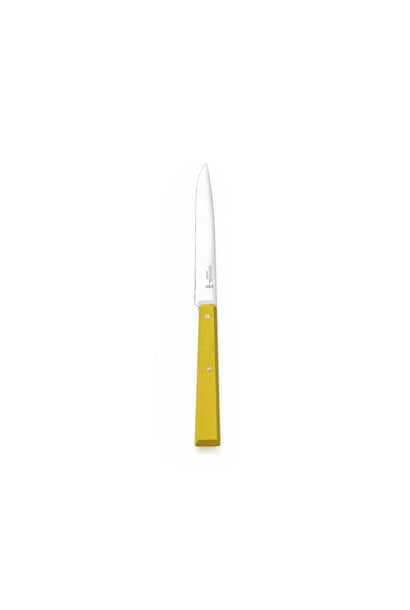 Opinel Bon Appetit Table Knife with Wood Handle