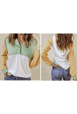 LATA Springtime Colorblock L/S Top