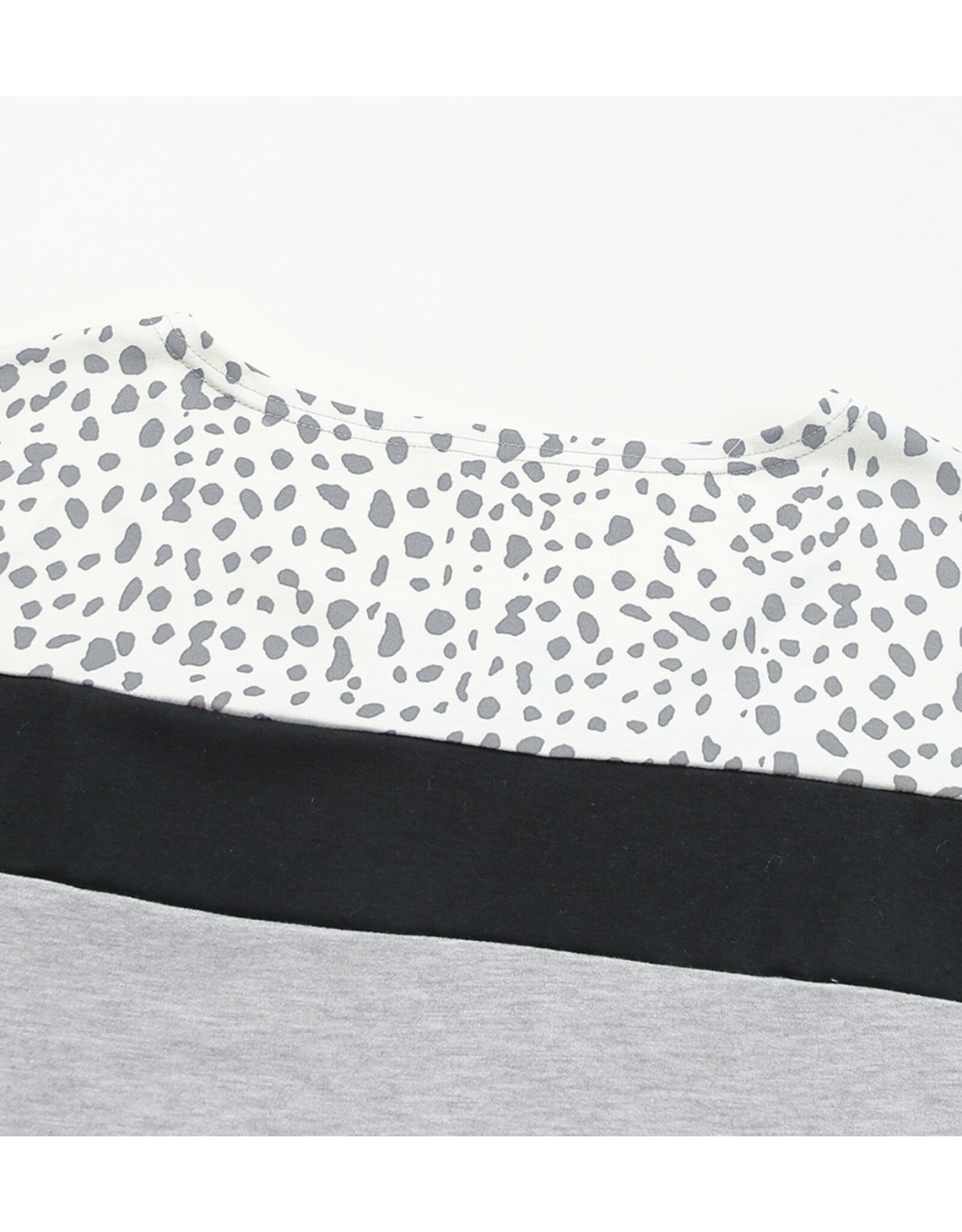 LATA Gray Leopard Top/ Shorts set