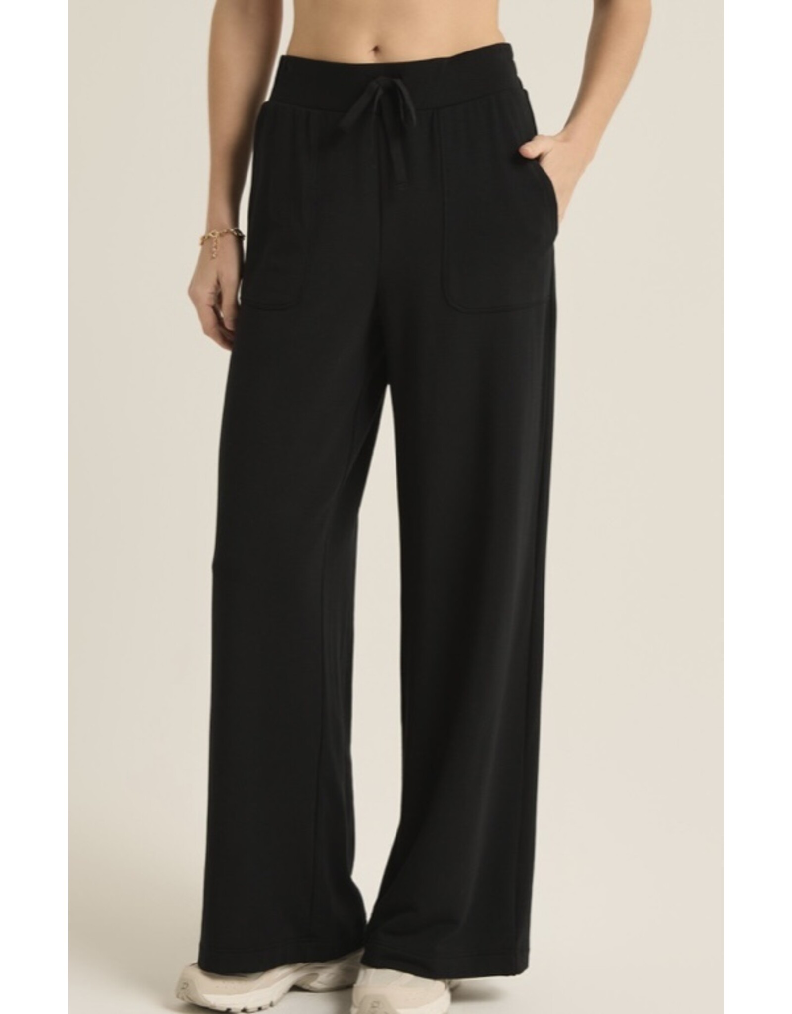 Z Supply Z SUPPLY Layover Pant ZP243884