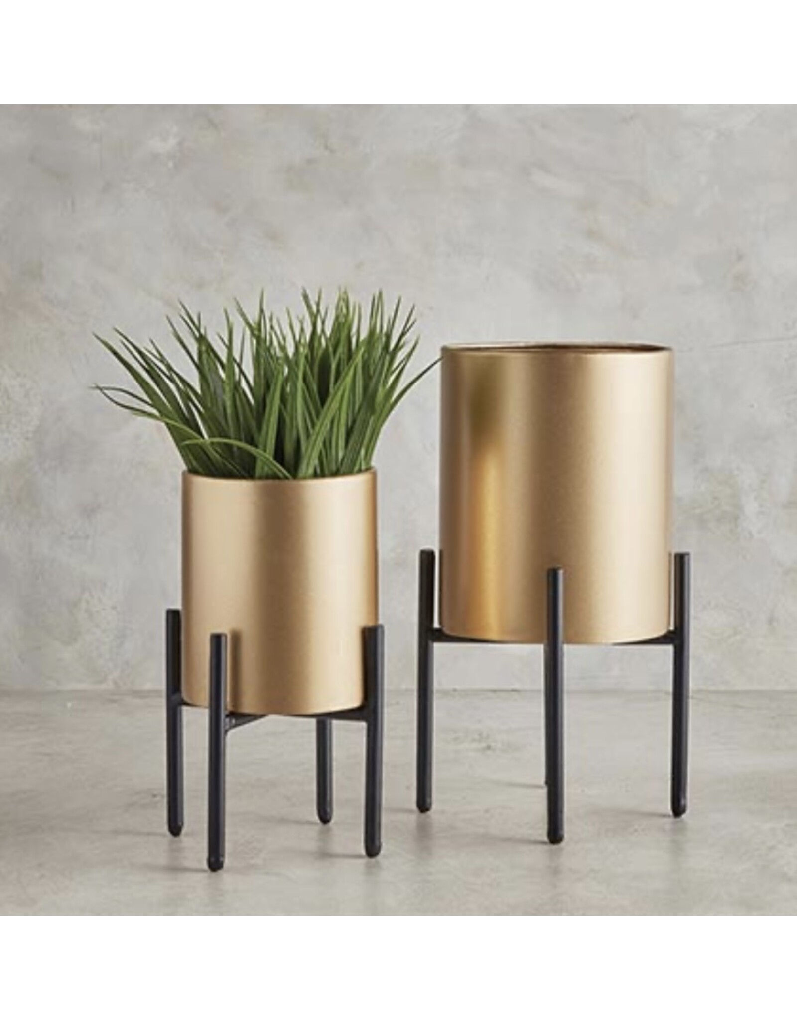 Santa Barbara Designs Gold Plant Stands - Set of 2