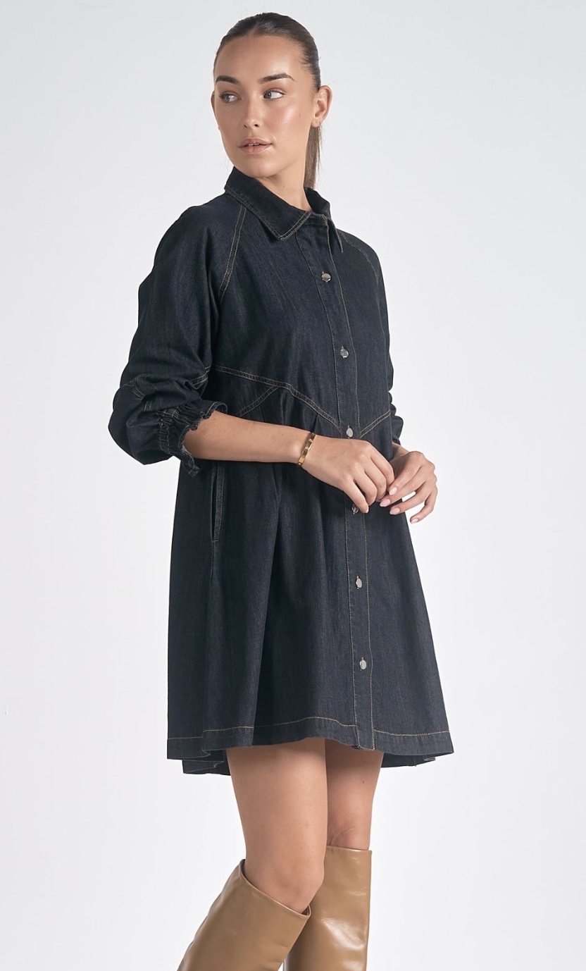 elan denim dress Sleeveless Button Down Dress, Denim