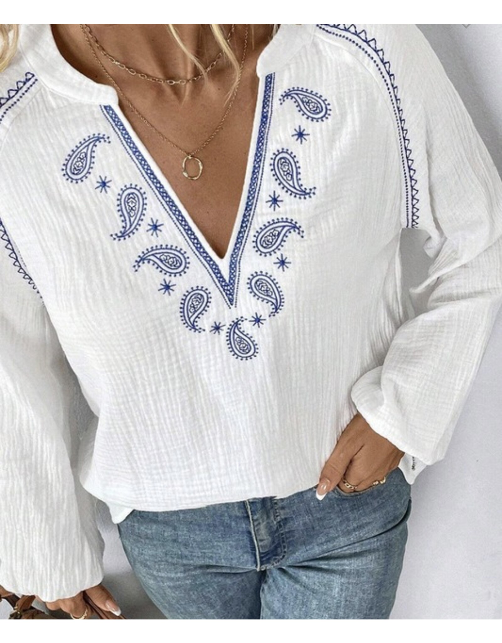 Paisley Embroidered Crinkle Blouse