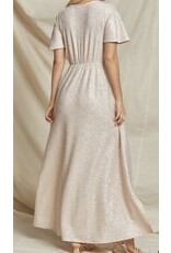 Champagne glittery maxi dress