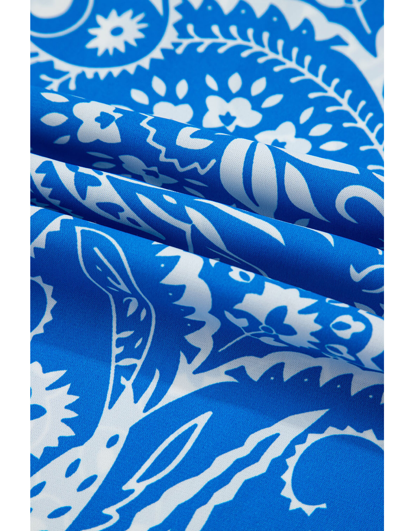 Blue Paisley V Neck Backless Maxi