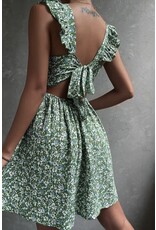 Miss sparkling Green floral dress