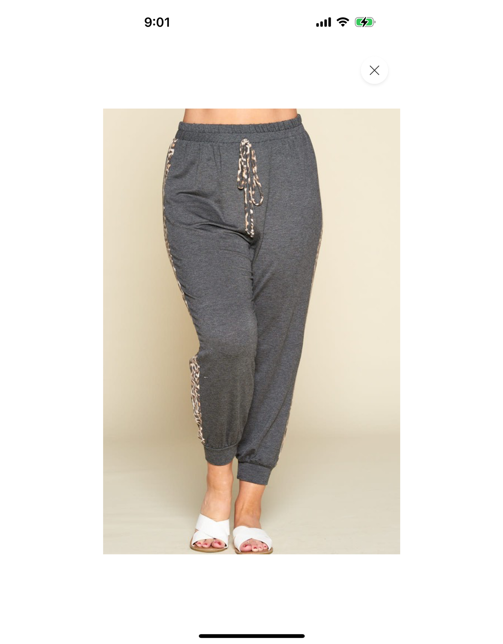 Animal panel joggers