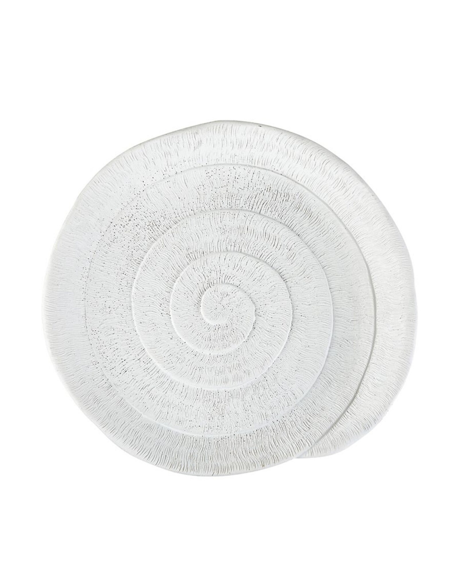 Matte White Shell Decor