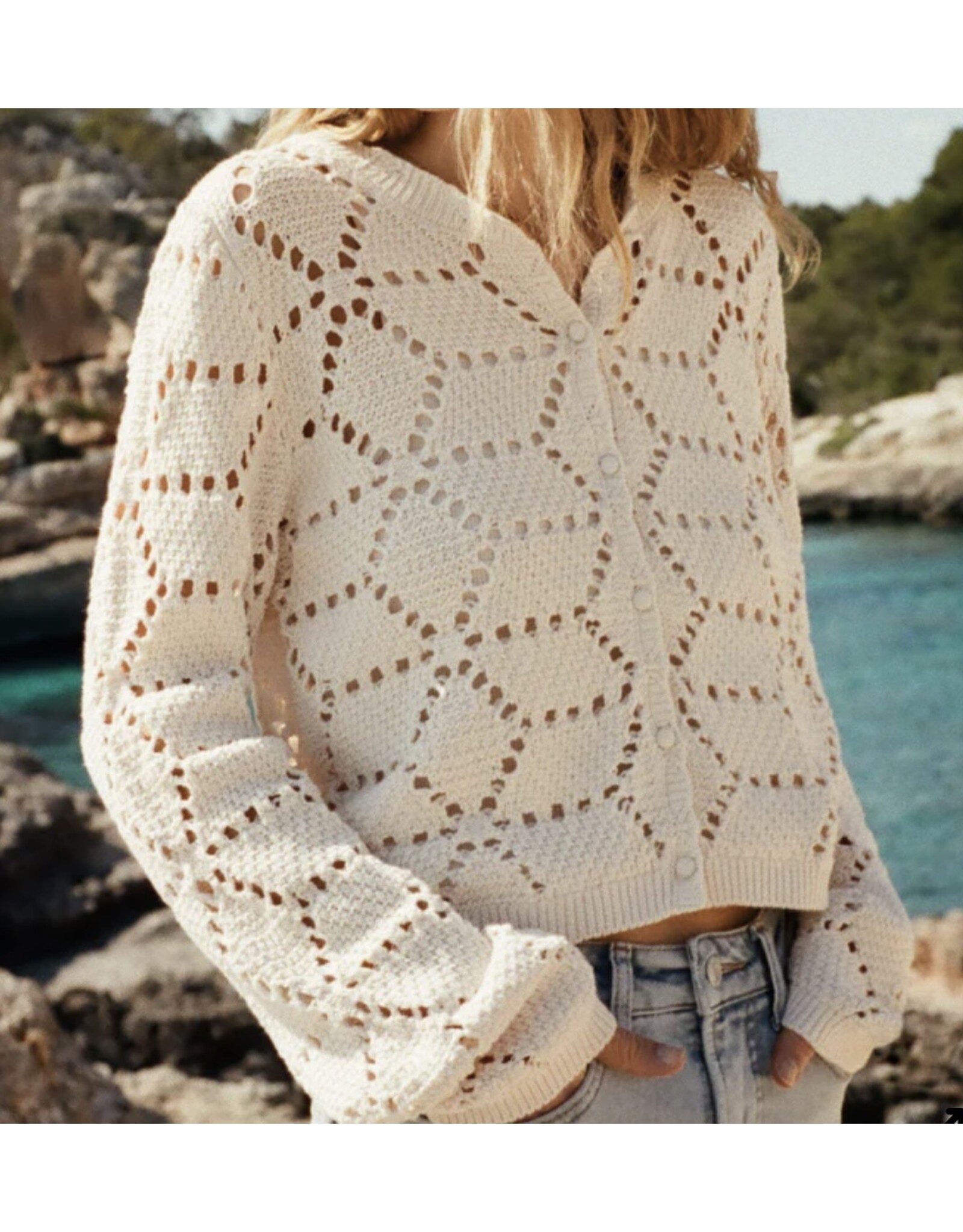 ZSupply ZSupply Rosalyn Sweater Cardigan Crystal