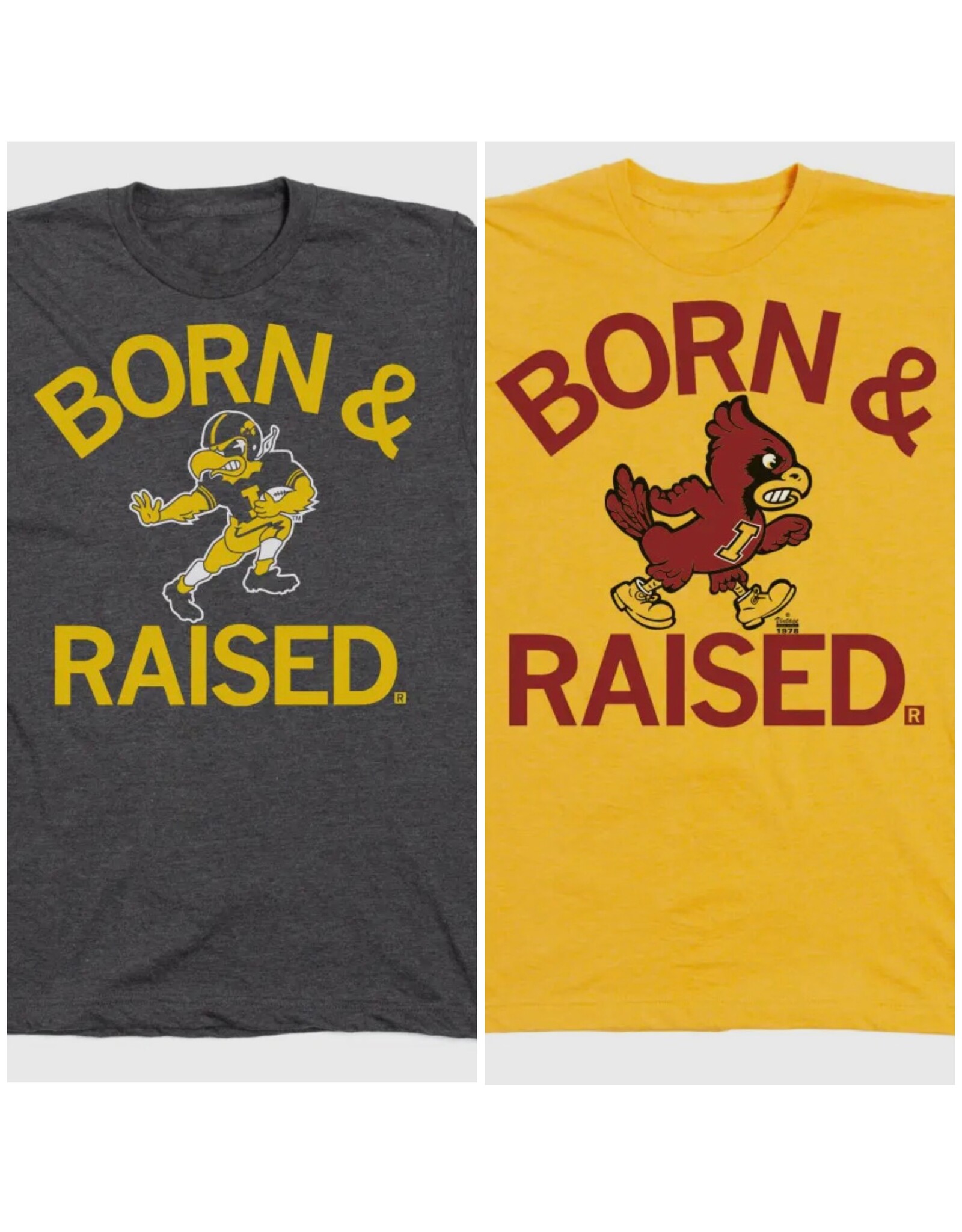 raygun Born and Raised a…