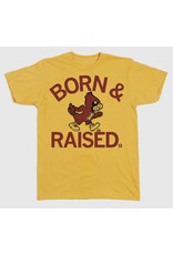 raygun Born and Raised a…