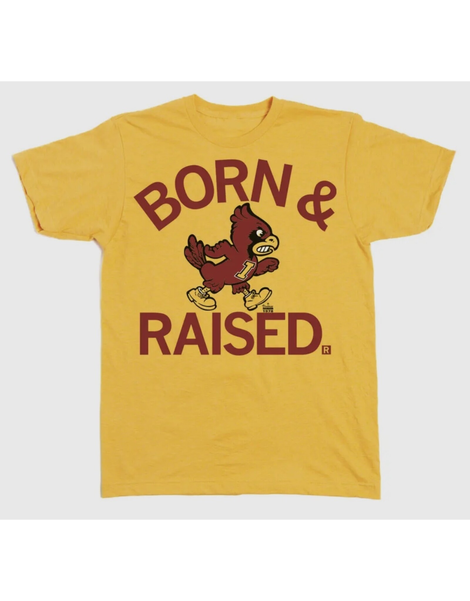 raygun Born and Raised a…