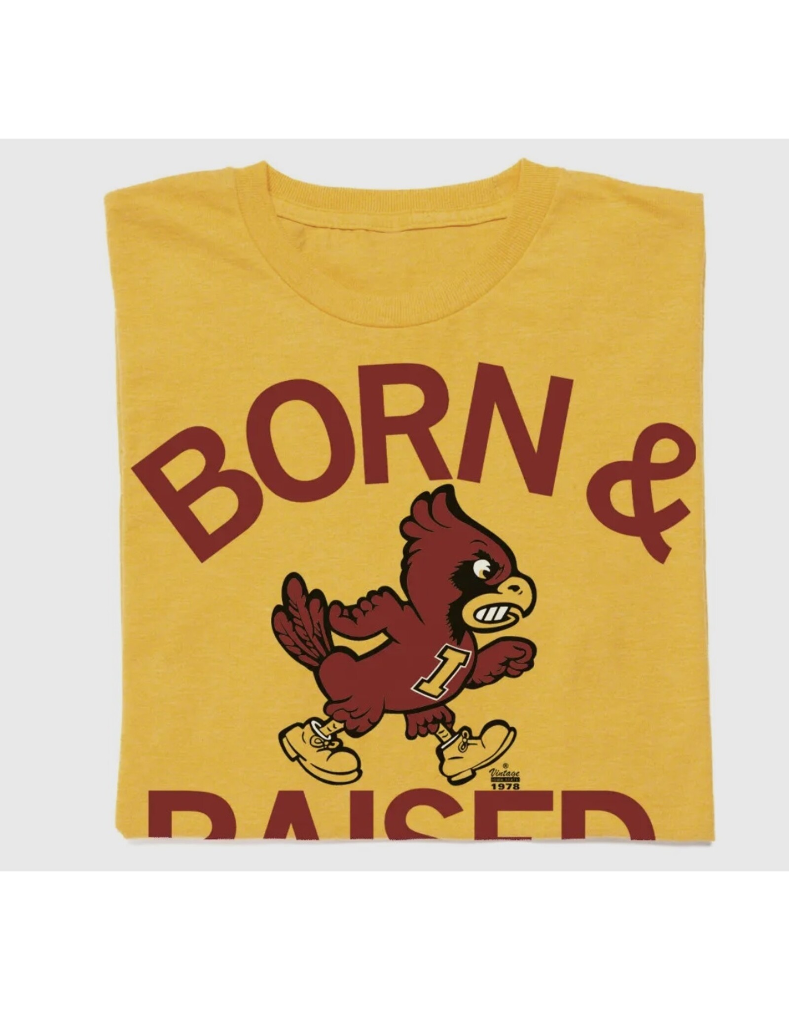 raygun Born and Raised a…