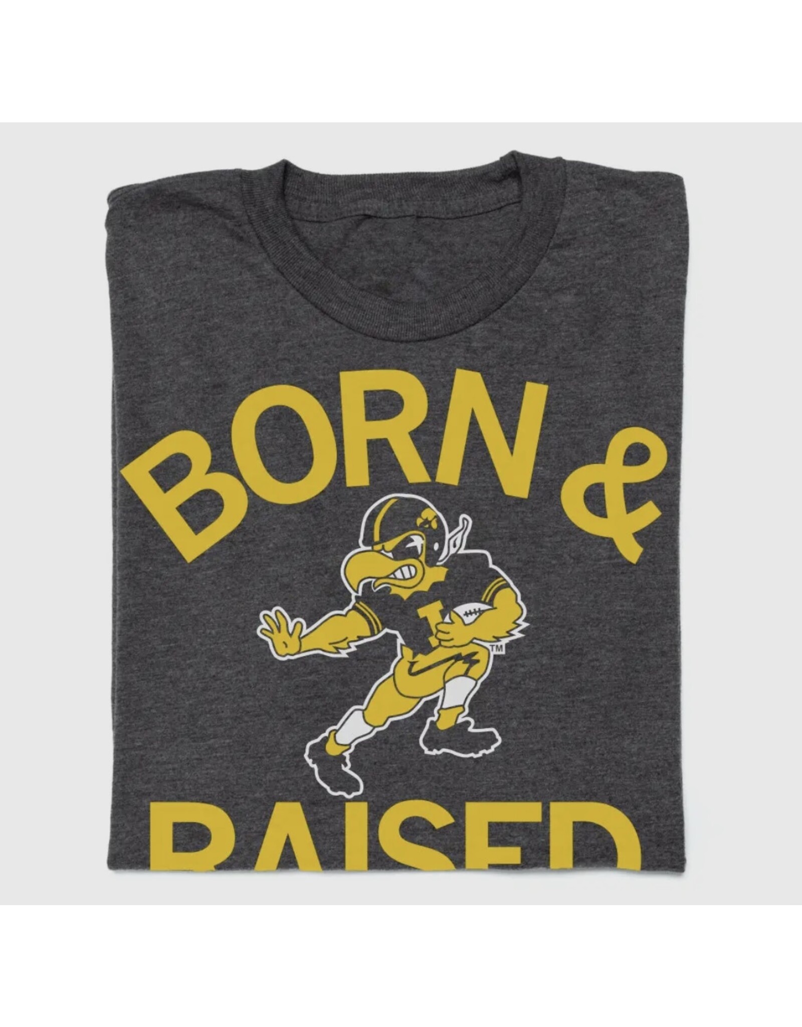 raygun Born and Raised a…