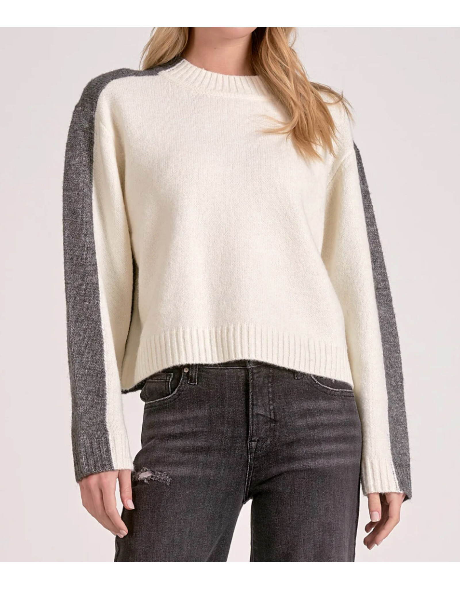 Elan Elan Colorblock Crewneck Sweater