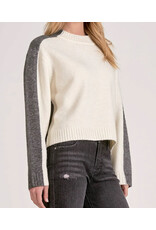 Elan Elan Colorblock Crewneck Sweater