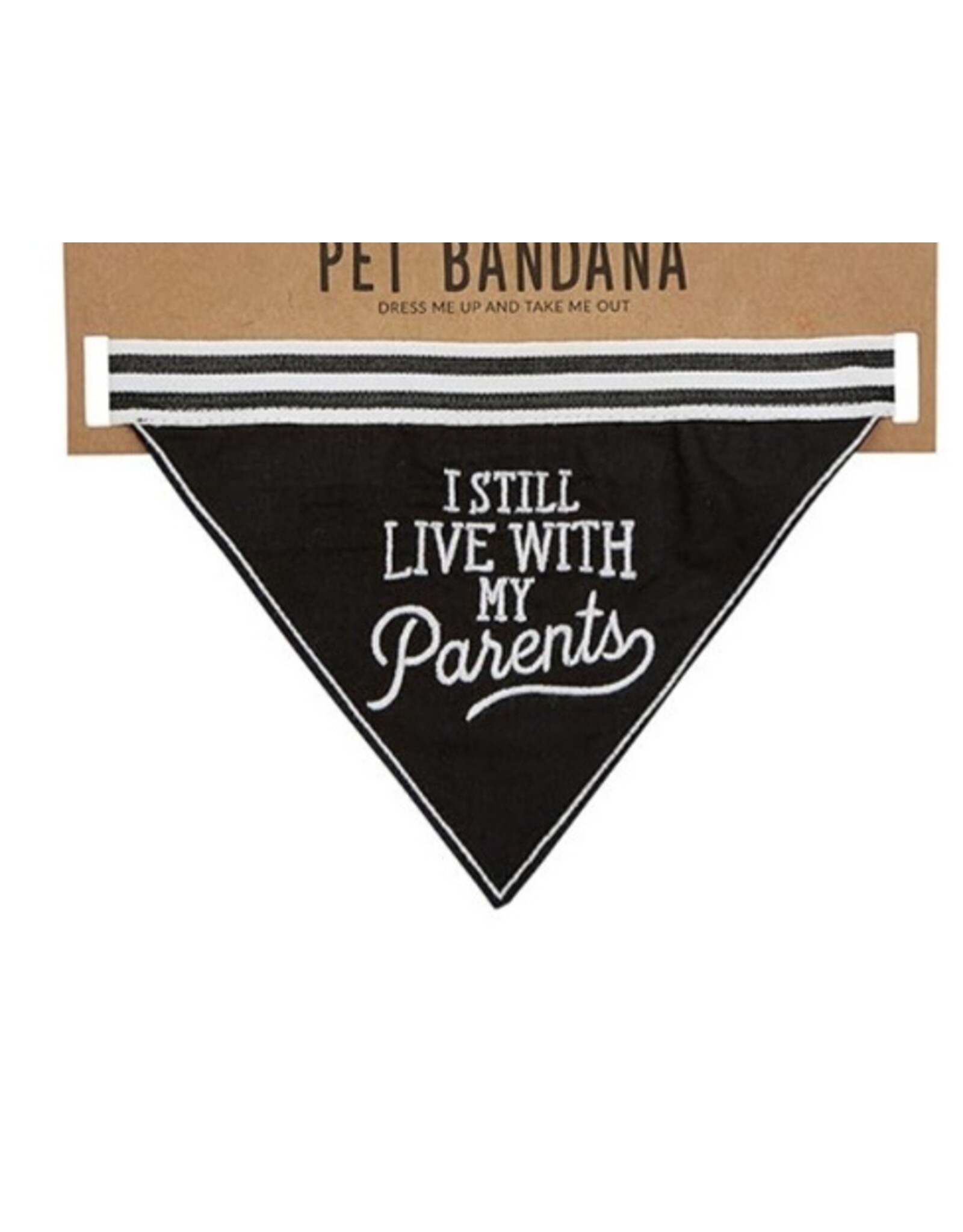 Pet Bandana
