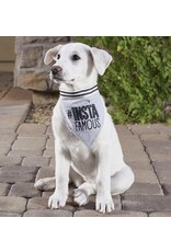 Pet Bandana