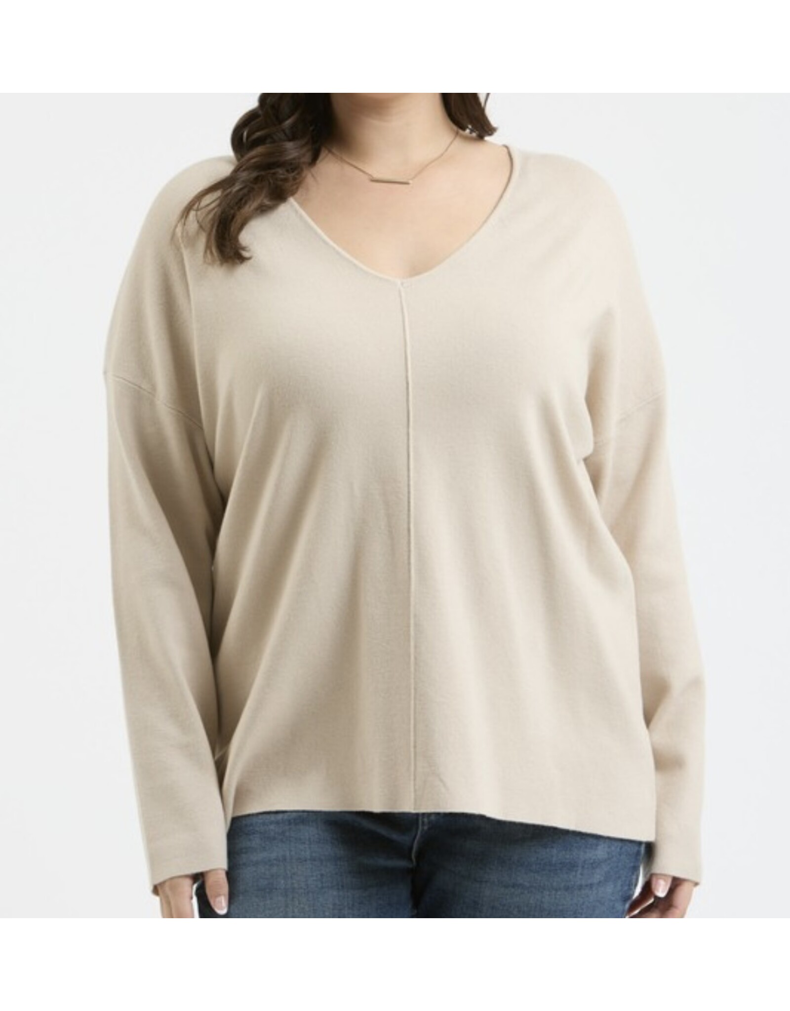 Plus V Neck Seam Sweater