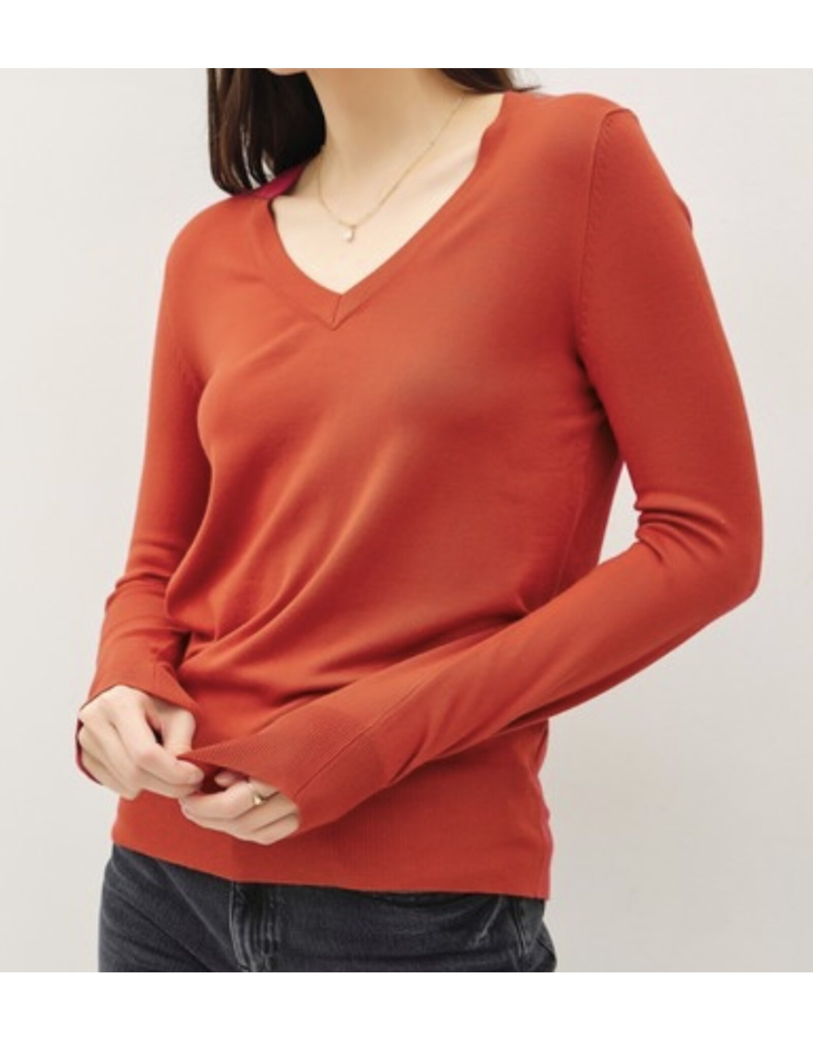 Classic V-neck sweater