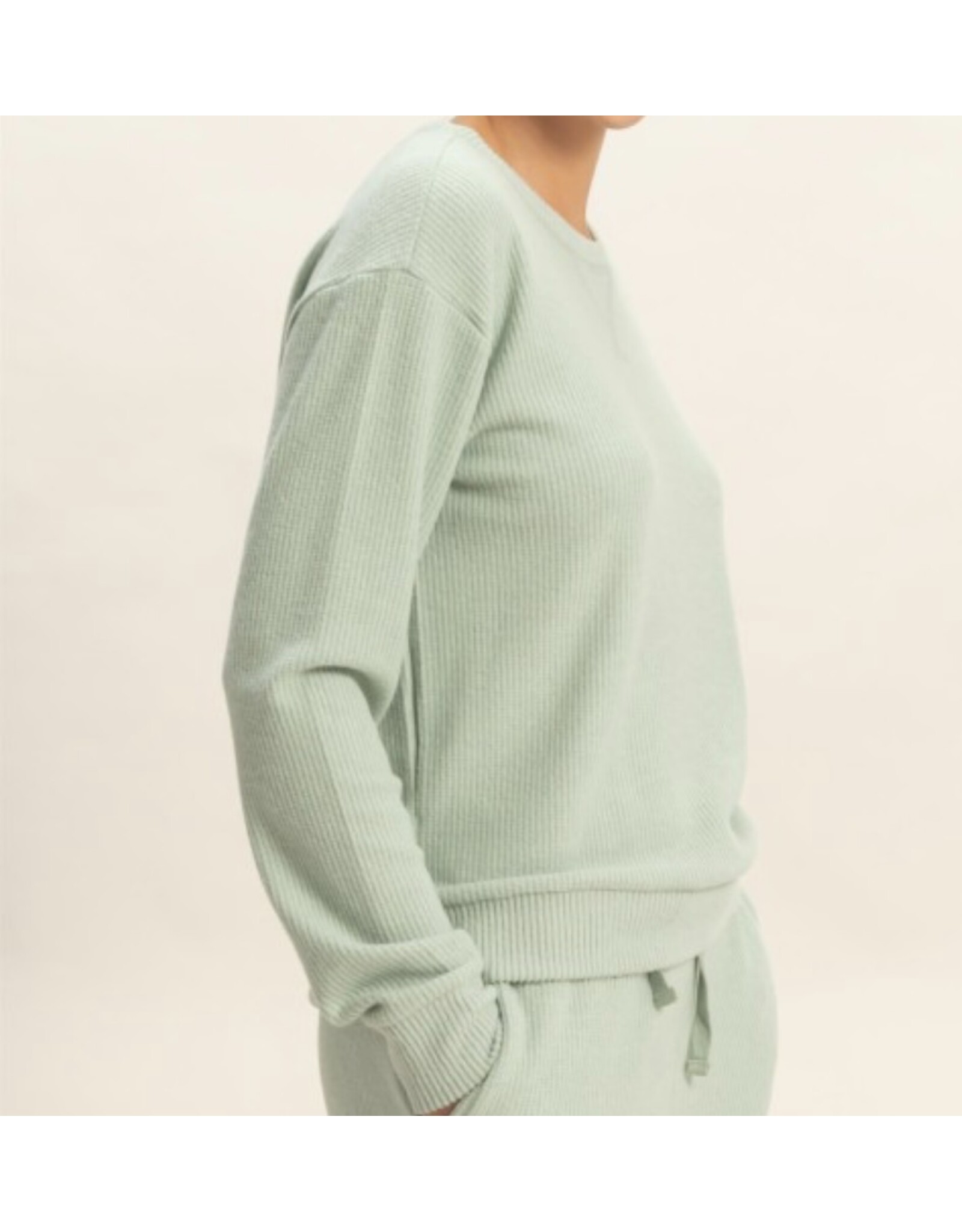 Brushed Waffle Knit L/S Top