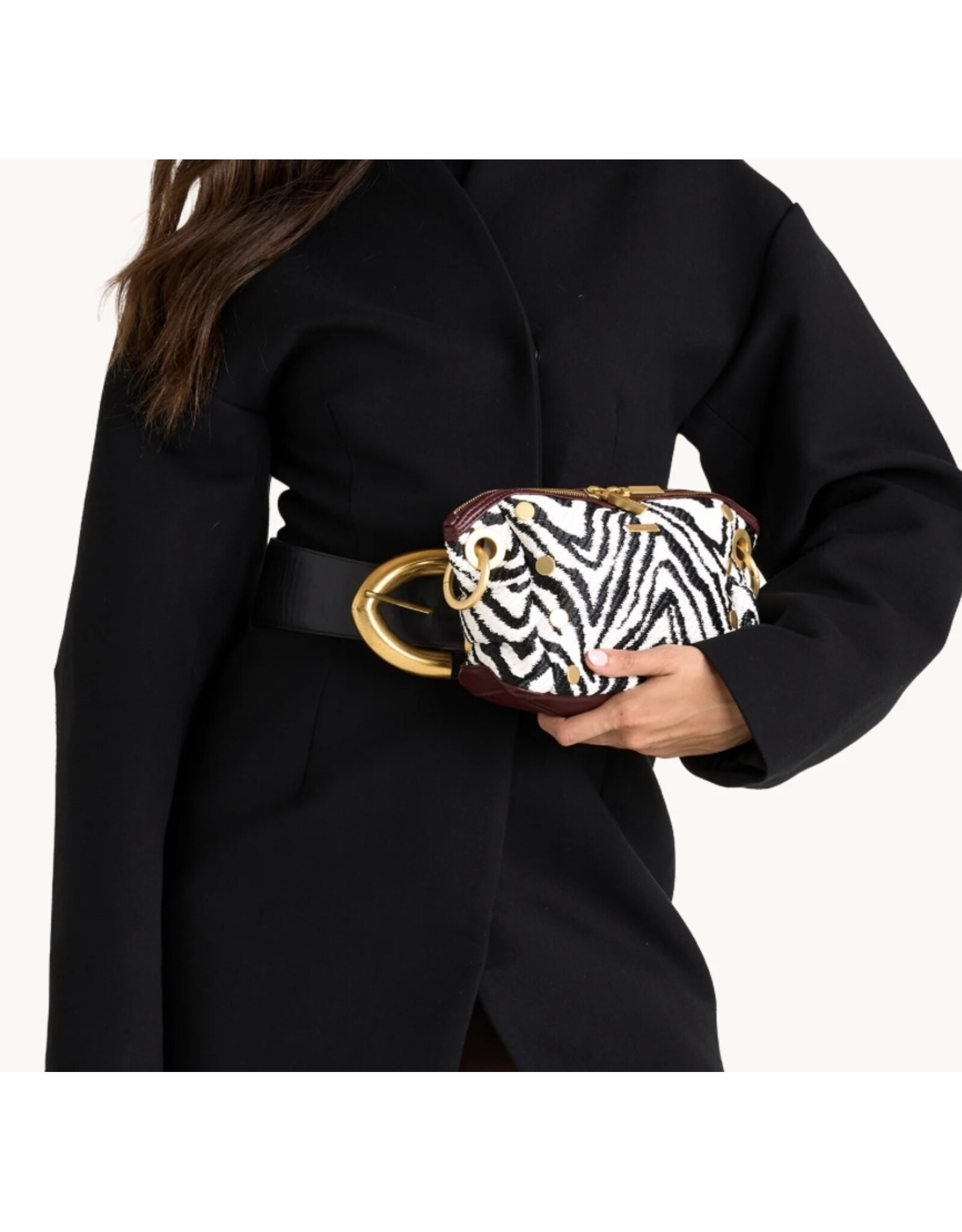 Hammitt Daniel Crossbody Clutch Sml