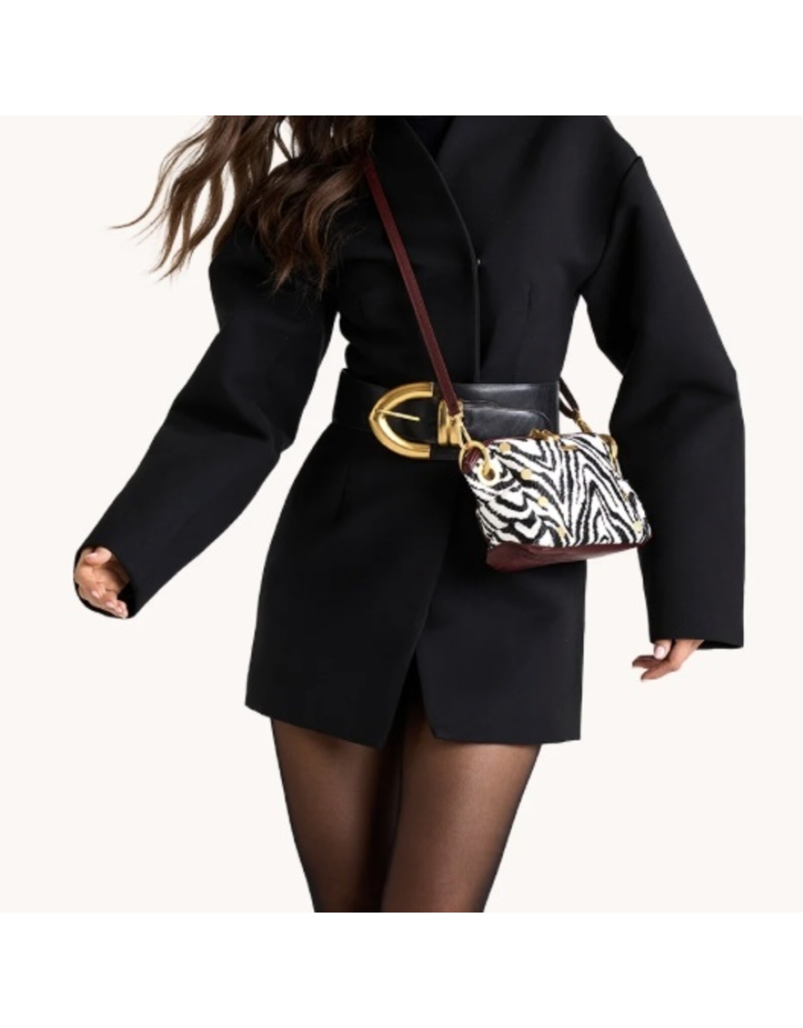 Hammitt Daniel Crossbody Clutch Sml