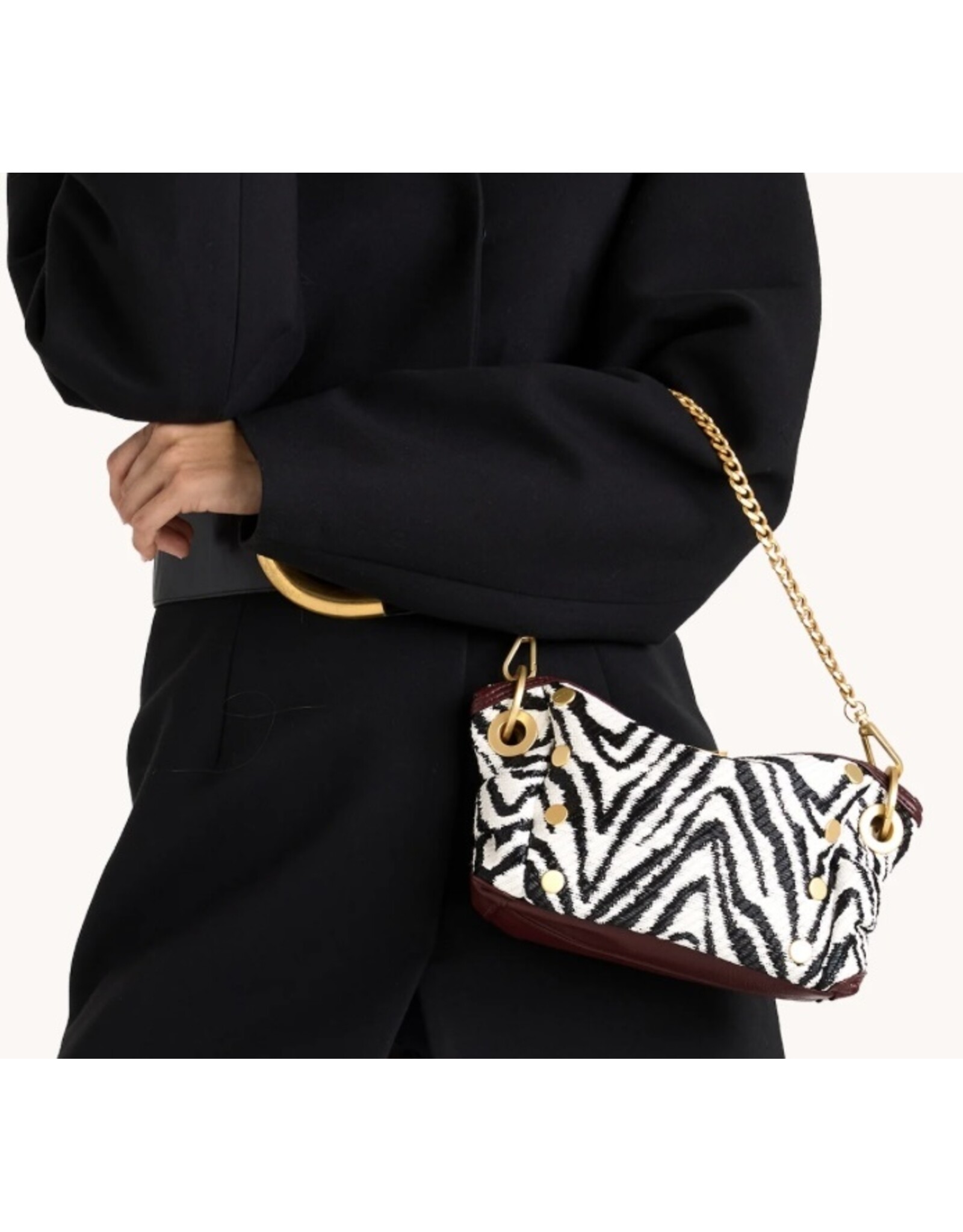 Hammitt Daniel Crossbody Clutch Sml